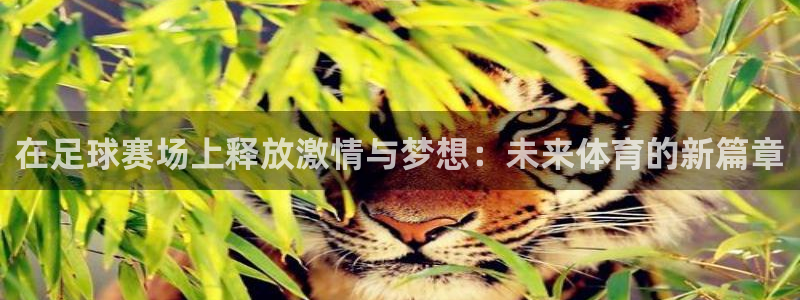 汇赢怎么样