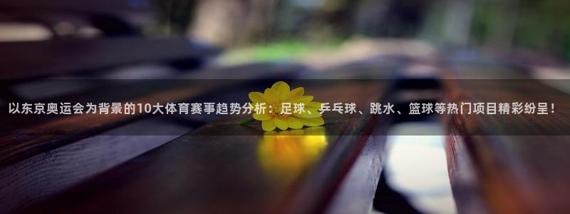 中视汇赢