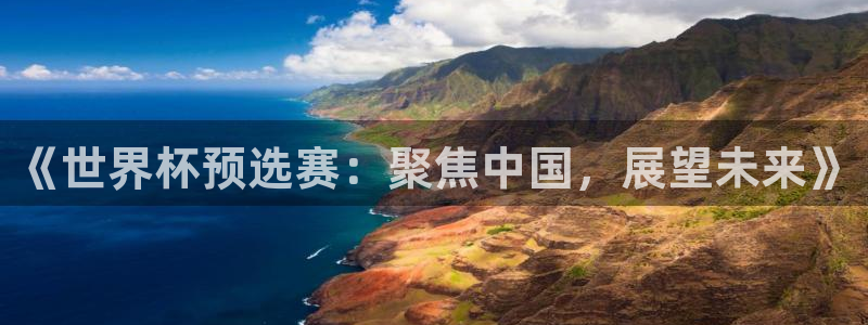 汇赢国际电子汇统登录入口