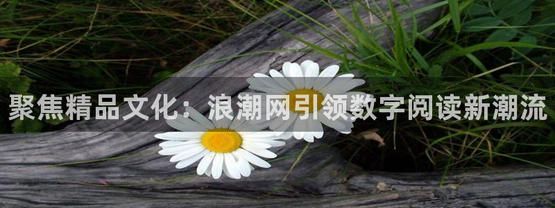 汇赢国际