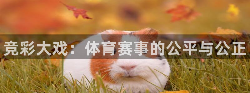 汇赢国际电子汇统登录入口