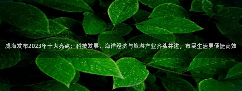 汇赢国际极速版最新版本下载